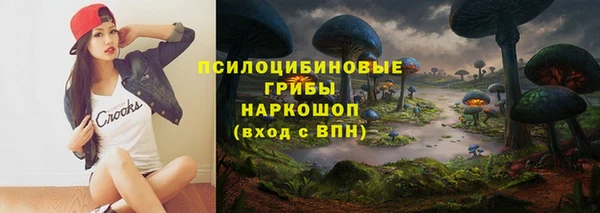 эйфоретик Алзамай